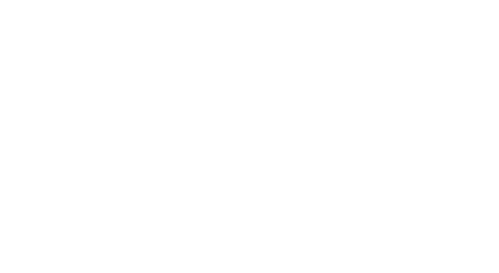 Oshtemo-Logo-White-Transparent-BG.png