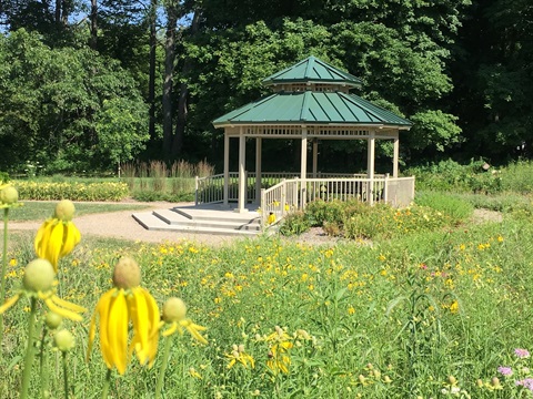 Gazebo with coneflowers.jpg