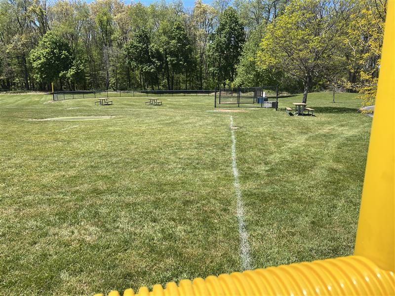 Wiffle 1.jpg